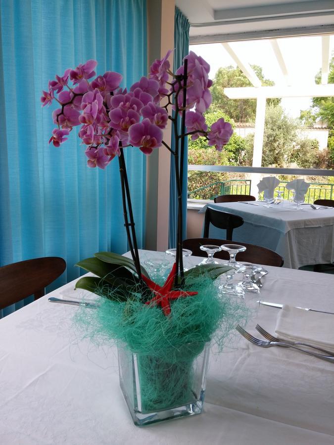 סן פליצ׳ה צ׳ירצ׳או Hotel Le Pleiadi מראה חיצוני תמונה